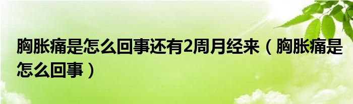 胸脹痛是怎么回事還有2周月經(jīng)來（胸脹痛是怎么回事）