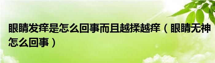 眼睛發(fā)癢是怎么回事而且越揉越癢（眼睛無(wú)神怎么回事）