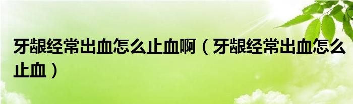 牙齦經(jīng)常出血怎么止血啊（牙齦經(jīng)常出血怎么止血）