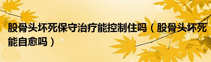 股骨頭壞死保守治療能控制住嗎（股骨頭壞死能自愈嗎）