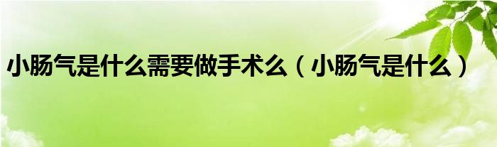 小腸氣是什么需要做手術么（小腸氣是什么）