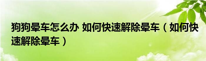 狗狗暈車怎么辦 如何快速解除暈車（如何快速解除暈車）