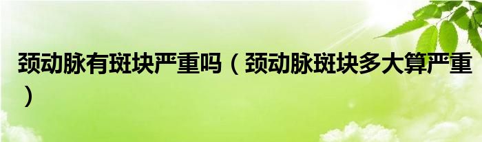 頸動脈有斑塊嚴(yán)重嗎（頸動脈斑塊多大算嚴(yán)重）