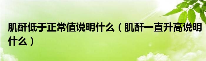 肌酐低于正常值說明什么（肌酐一直升高說明什么）