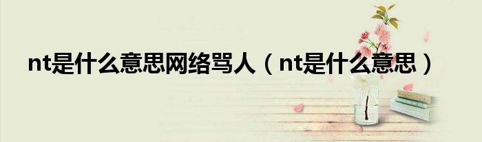 nt是什么意思網(wǎng)絡罵人（nt是什么意思）