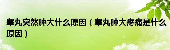 睪丸突然腫大什么原因（睪丸腫大疼痛是什么原因）