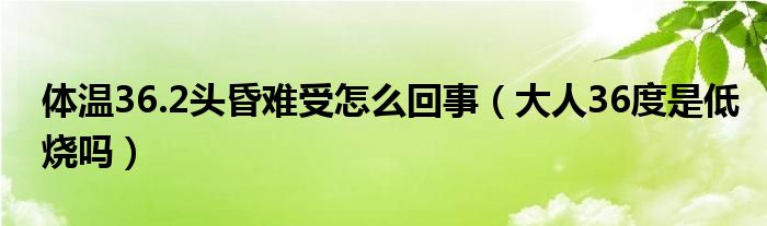 體溫36.2頭昏難受怎么回事（大人36度是低燒嗎）