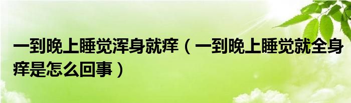 一到晚上睡覺渾身就癢（一到晚上睡覺就全身癢是怎么回事）