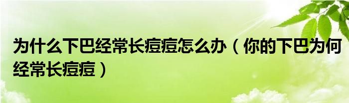 為什么下巴經常長痘痘怎么辦（你的下巴為何經常長痘痘）