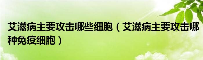 艾滋病主要攻擊哪些細胞（艾滋病主要攻擊哪種免疫細胞）