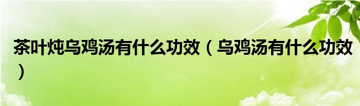 茶葉燉烏雞湯有什么功效（烏雞湯有什么功效）