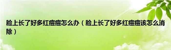 臉上長了好多紅痘痘怎么辦（臉上長了好多紅痘痘該怎么消除）