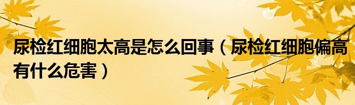 尿檢紅細(xì)胞太高是怎么回事（尿檢紅細(xì)胞偏高有什么危害）