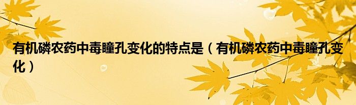 有機(jī)磷農(nóng)藥中毒瞳孔變化的特點(diǎn)是（有機(jī)磷農(nóng)藥中毒瞳孔變化）