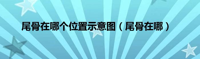 尾骨在哪個(gè)位置示意圖（尾骨在哪）