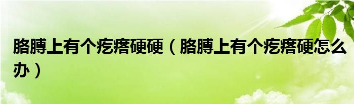 胳膊上有個(gè)疙瘩硬硬（胳膊上有個(gè)疙瘩硬怎么辦）