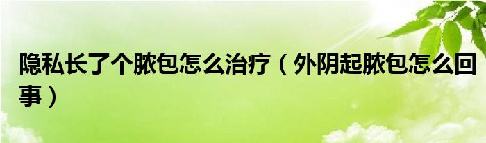 隱私長了個(gè)膿包怎么治療（外陰起膿包怎么回事）