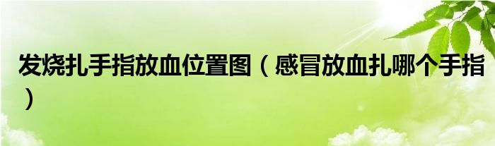 發(fā)燒扎手指放血位置圖（感冒放血扎哪個手指）