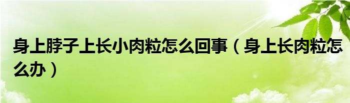 身上脖子上長(zhǎng)小肉粒怎么回事（身上長(zhǎng)肉粒怎么辦）