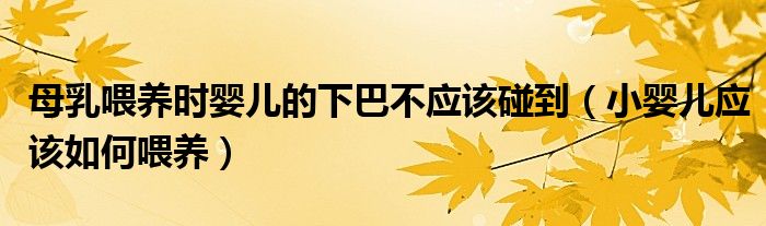 母乳喂養(yǎng)時(shí)嬰兒的下巴不應(yīng)該碰到（小嬰兒應(yīng)該如何喂養(yǎng)）