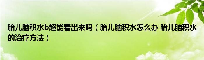 胎兒腦積水b超能看出來嗎（胎兒腦積水怎么辦 胎兒腦積水的治療方法）