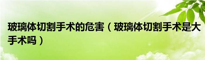 玻璃體切割手術的危害（玻璃體切割手術是大手術嗎）