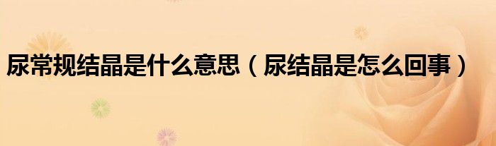 尿常規(guī)結(jié)晶是什么意思（尿結(jié)晶是怎么回事）