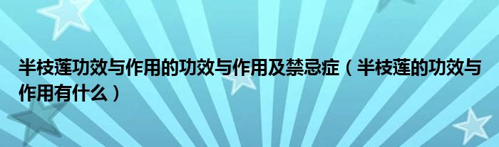 半枝蓮功效與作用的功效與作用及禁忌癥（半枝蓮的功效與作用有什么）