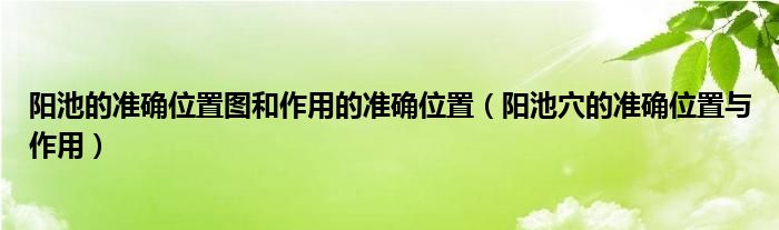 陽池的準確位置圖和作用的準確位置（陽池穴的準確位置與作用）