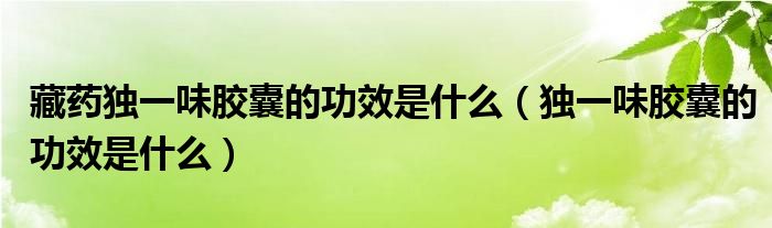 藏藥獨一味膠囊的功效是什么（獨一味膠囊的功效是什么）