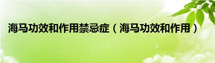 海馬功效和作用禁忌癥（海馬功效和作用）