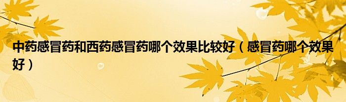 中藥感冒藥和西藥感冒藥哪個(gè)效果比較好（感冒藥哪個(gè)效果好）