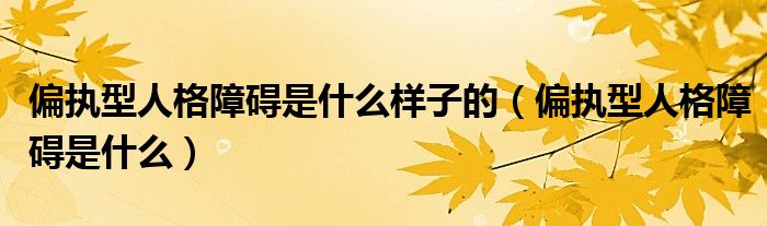 偏執(zhí)型人格障礙是什么樣子的（偏執(zhí)型人格障礙是什么）