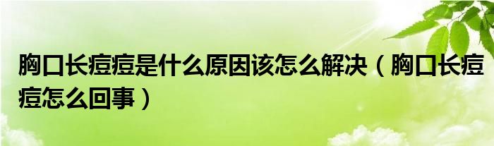 胸口長痘痘是什么原因該怎么解決（胸口長痘痘怎么回事）