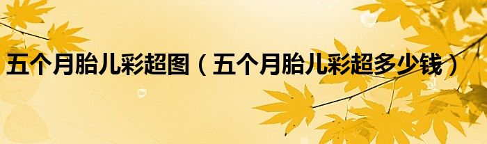 五個(gè)月胎兒彩超圖（五個(gè)月胎兒彩超多少錢）