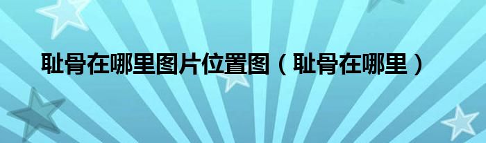 恥骨在哪里圖片位置圖（恥骨在哪里）