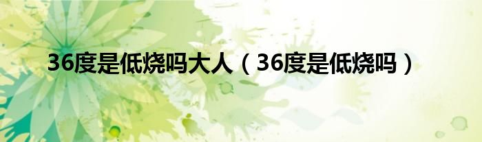 36度是低燒嗎大人（36度是低燒嗎）