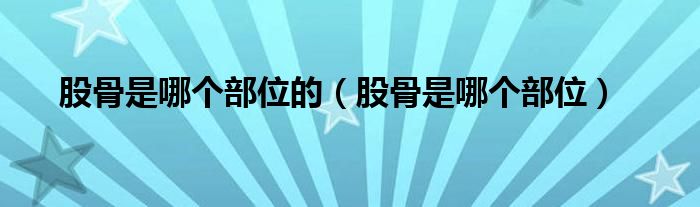 股骨是哪個(gè)部位的（股骨是哪個(gè)部位）