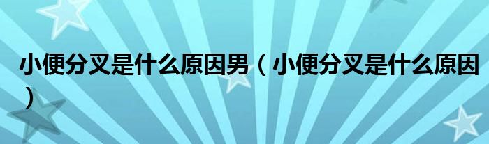 小便分叉是什么原因男（小便分叉是什么原因）