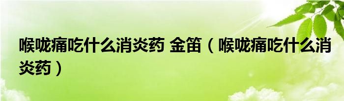 喉嚨痛吃什么消炎藥 金笛（喉嚨痛吃什么消炎藥）