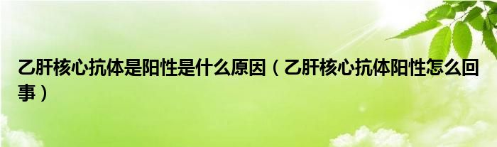 乙肝核心抗體是陽性是什么原因（乙肝核心抗體陽性怎么回事）