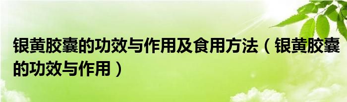 銀黃膠囊的功效與作用及食用方法（銀黃膠囊的功效與作用）