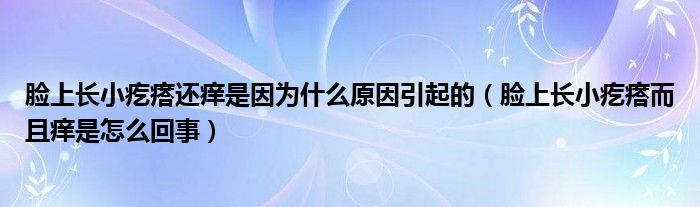 臉上長(zhǎng)小疙瘩還癢是因?yàn)槭裁丛蛞鸬模樕祥L(zhǎng)小疙瘩而且癢是怎么回事）