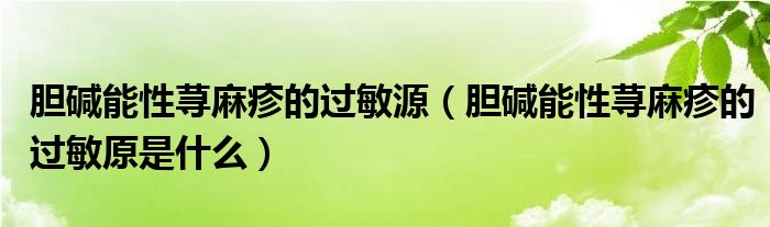 膽堿能性蕁麻疹的過(guò)敏源（膽堿能性蕁麻疹的過(guò)敏原是什么）