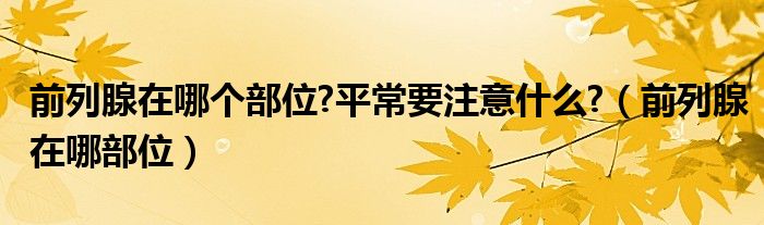 前列腺在哪個部位?平常要注意什么?（前列腺在哪部位）