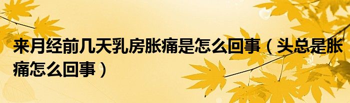 來(lái)月經(jīng)前幾天乳房脹痛是怎么回事（頭總是脹痛怎么回事）