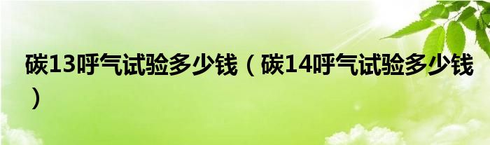 碳13呼氣試驗多少錢（碳14呼氣試驗多少錢）