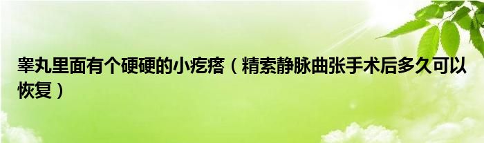 睪丸里面有個硬硬的小疙瘩（精索靜脈曲張手術(shù)后多久可以恢復）