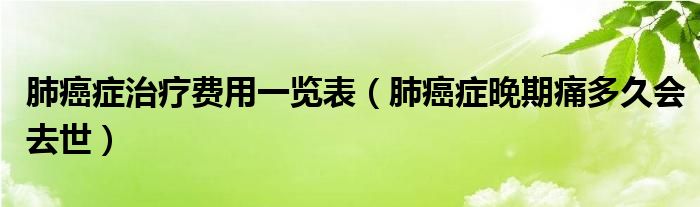 肺癌癥治療費用一覽表（肺癌癥晚期痛多久會去世）