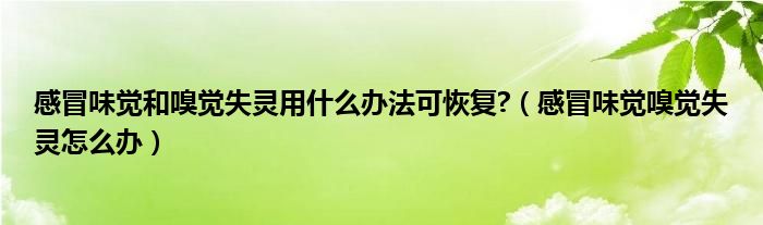 感冒味覺(jué)和嗅覺(jué)失靈用什么辦法可恢復(fù)?（感冒味覺(jué)嗅覺(jué)失靈怎么辦）